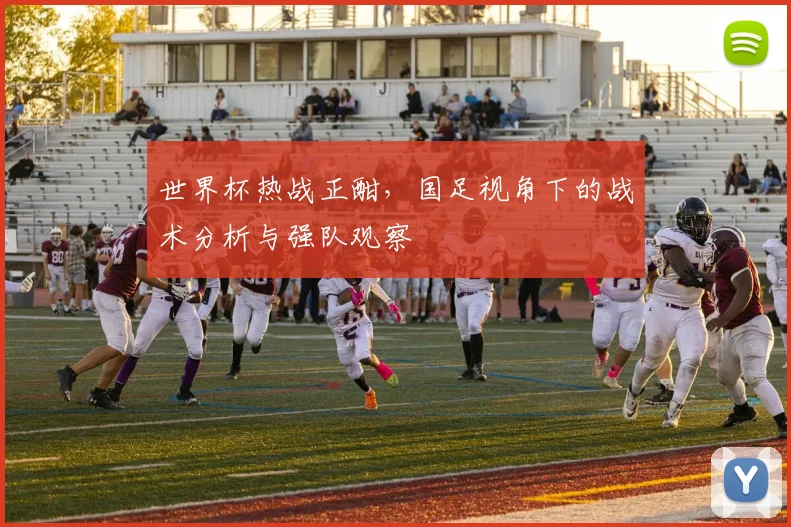 世界杯热战正酣，国足视角下的战术分析与强队观察